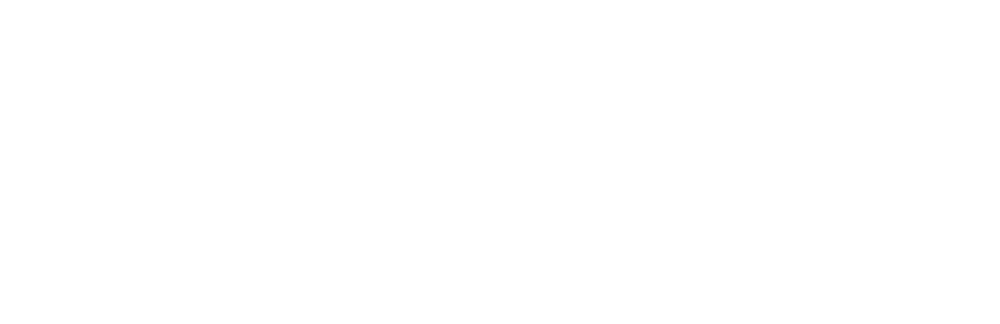 Experience Kissimmee Florida